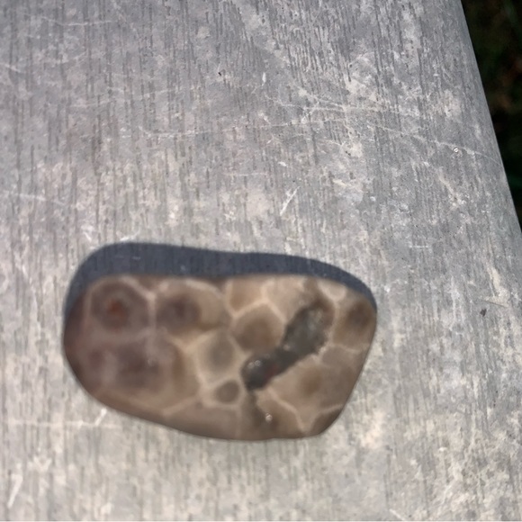 Petoskey stone - Picture 10 of 11